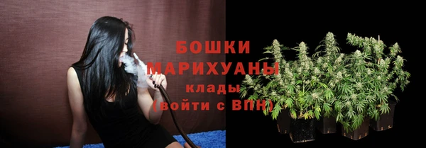 трава Надым