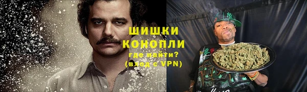 трава Надым